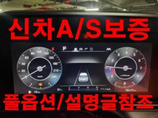기아 카니발 중고차